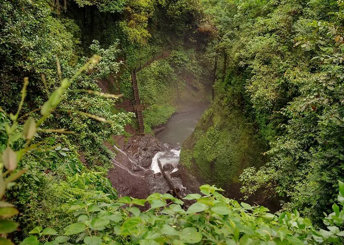 Triangle Cottage, Near 7 Waterfall In North Bali 別荘 *