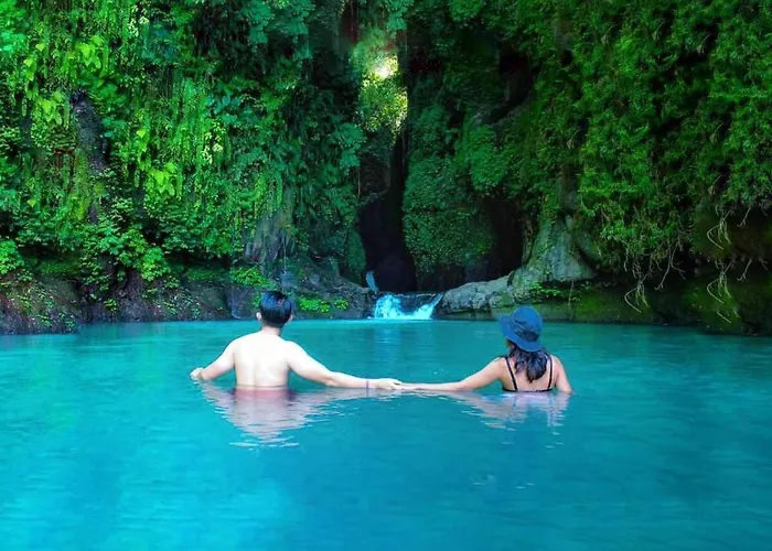 別荘 Triangle Cottage, Near 7 Waterfall In North Bali Ambengan