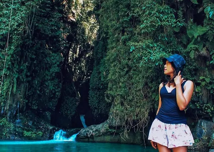 Triangle Cottage, Near 7 Waterfall In North Bali 別荘